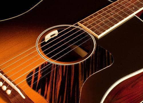 LR Baggs Anthem SL Acoustic guitar Pickup – Banjo Studio