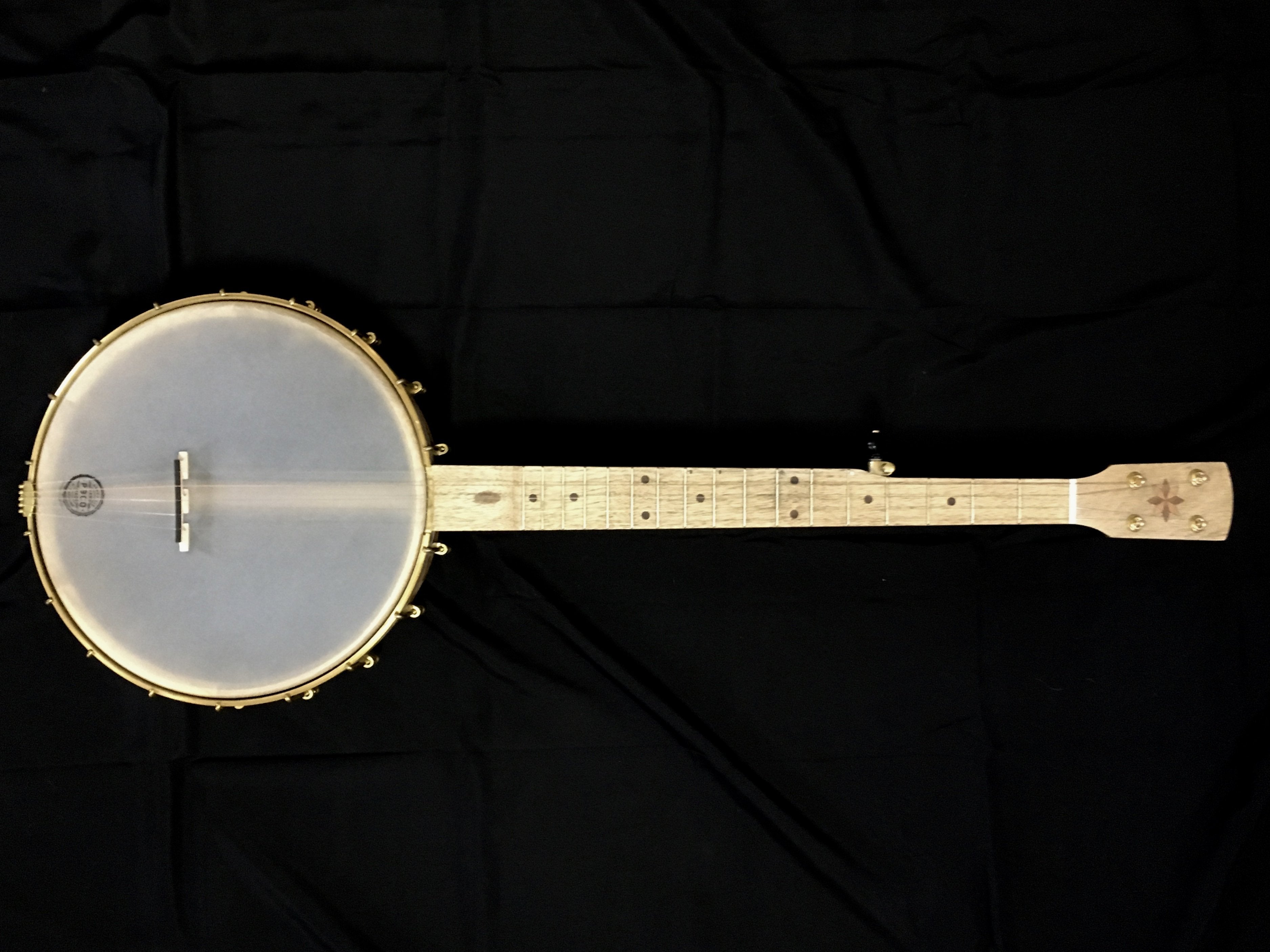 Pisgah possum store banjo