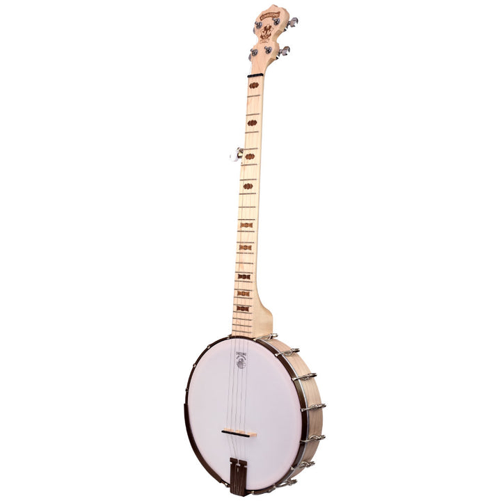 Deering Goodtime 5-String Banjo - Best Beginner Banjo