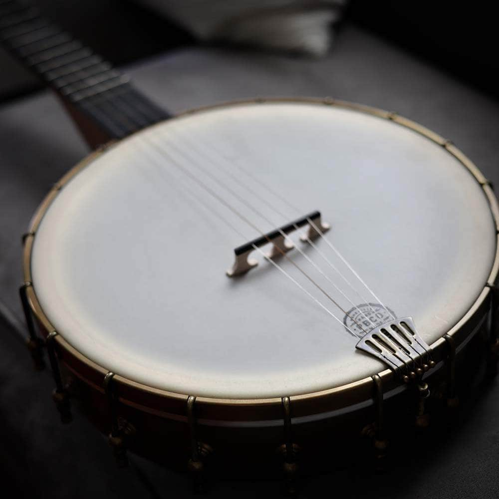 Pisgah Walnut Rambler Dobson Special 5-String Banjo with 12" Pot Pisgah 5 String Banjos