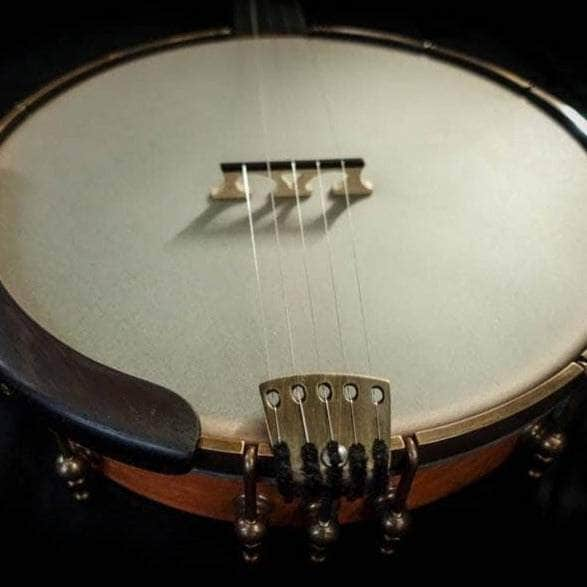 Ome tupelo deals banjo for sale